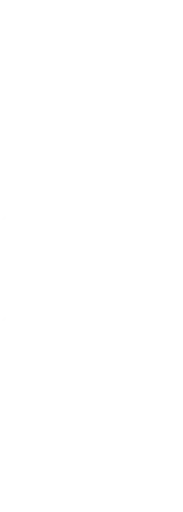1001001-2